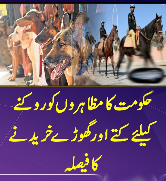 حکومت کا مظاہروں کو روکنے کیلئے کتے اور گھوڑے خریدنے کا فیصلہ